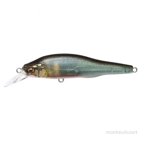 MEGABASS X-80 Trick Darter FA Kisyu Ayu
