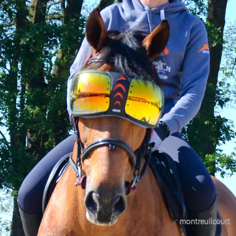 eQuick - eVysor - Ögonskydd till häst - Bild 3
