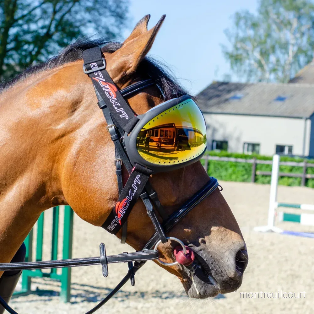 eQuick - eVysor - Ögonskydd till häst - Bild 2