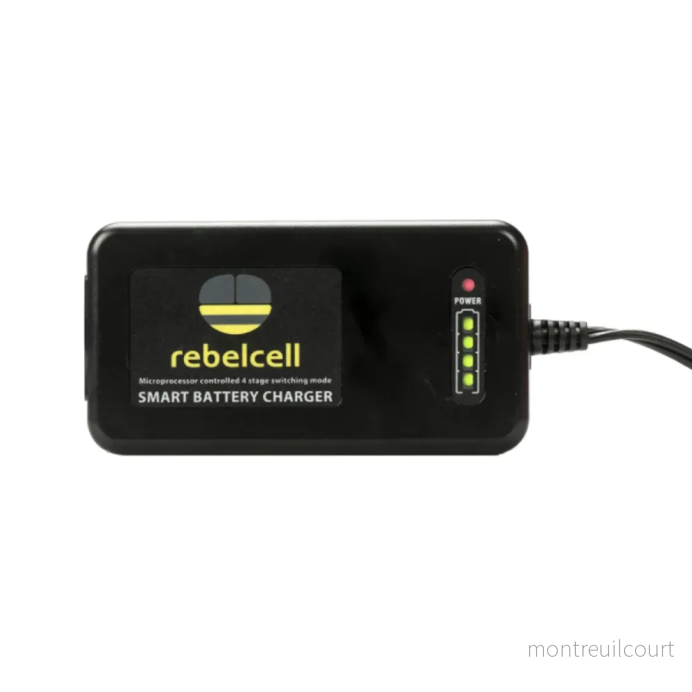 Rebelcell 14.6v3A LithiumCharger - Bild 2