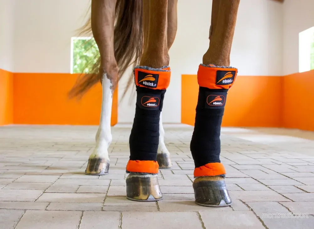 eQuick - eKristal Stallbandage - Bild 2