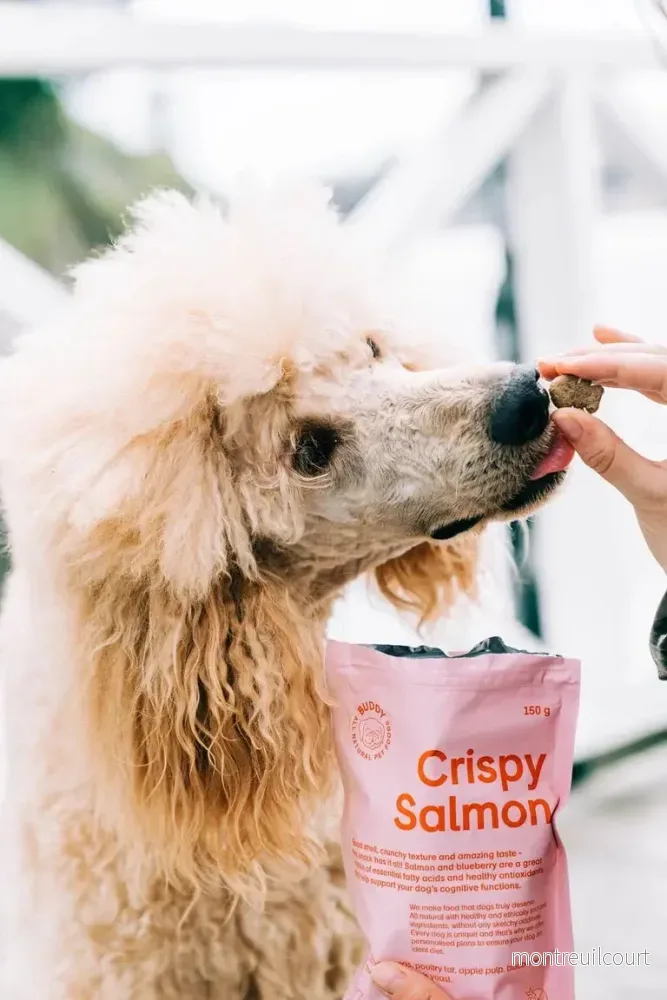 Buddy Crunchy Snack - Lax med blåbär 150g - Bild 3