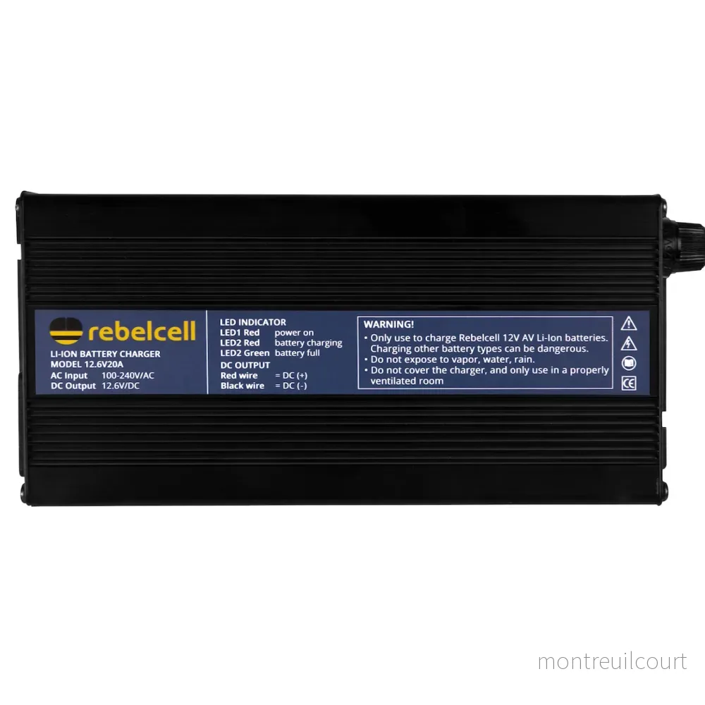 Rebelcell 12.6V20A NMC Charger - Bild 3