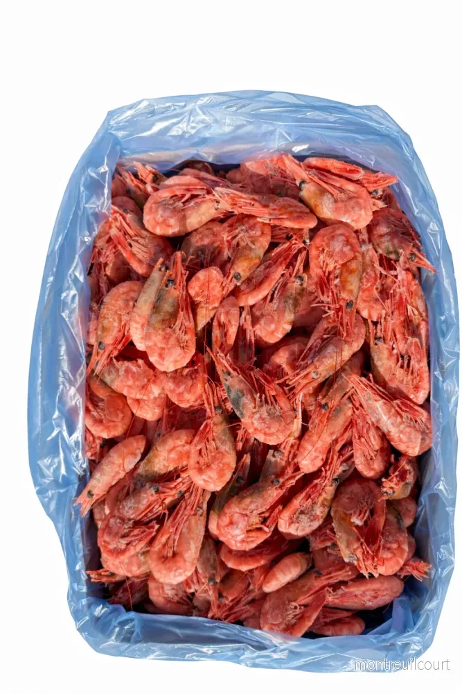 Räka 40-60 St/Kg - Bild 3