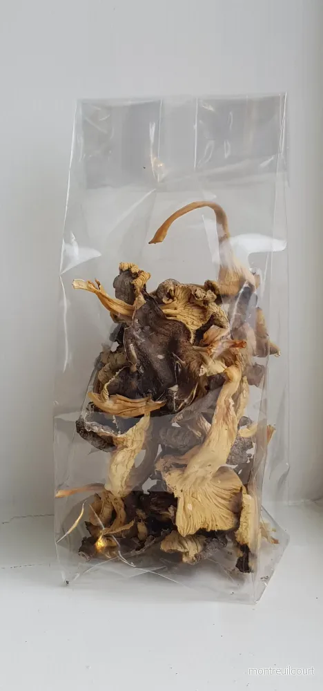 Trattkantarell 10 gram