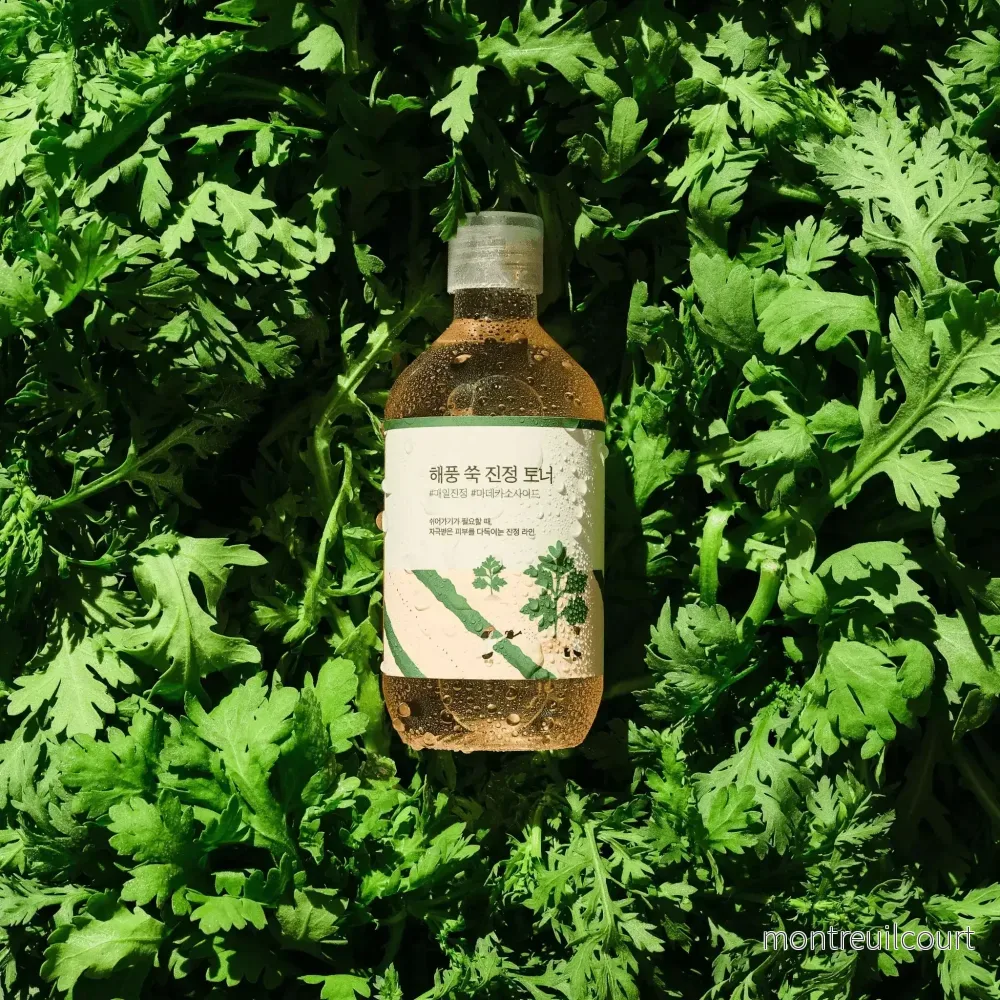 Round Lab Mugwort Calming Toner 300ml