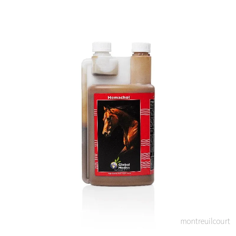 Global Medics – Hemachol – Energi