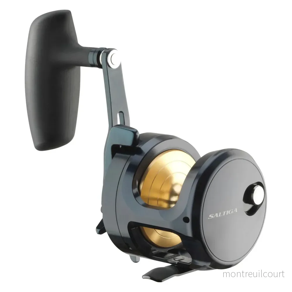 Daiwa 24 Saltiga G 15 - Bild 2