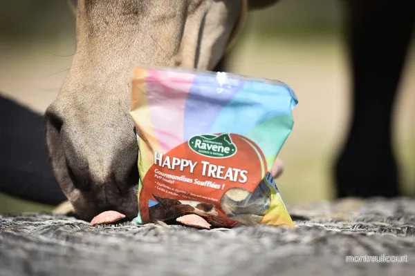 Ravene Happy Treats Duo Hästgodis 200gr - Bild 3