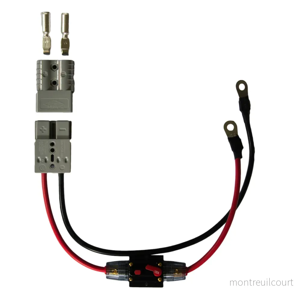 Rebelcell Quick Connect E-Motor 100A Resettable Rebelcell Quick Connect E-Motor 100A Resettable