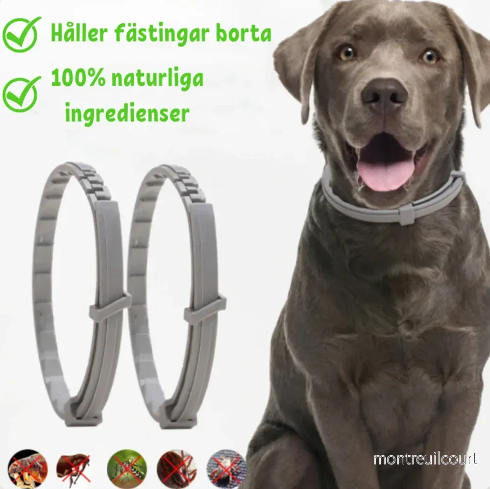 FästingFree – hund &katt halsband