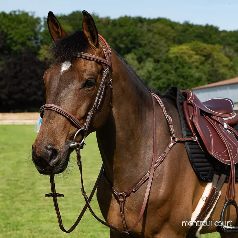 CWD Nosgrimma Aachen Sport Color - Bild 3