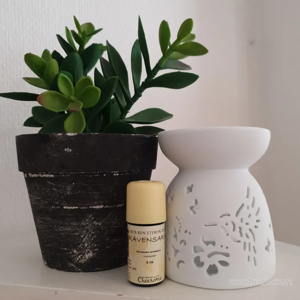 Eterisk olja - Ravensara 5 ml - Bild 2