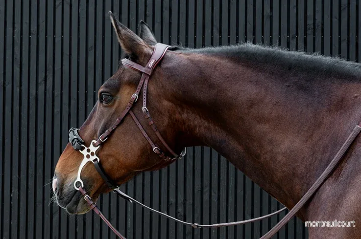 CWD Hackamore CWD Hackamore