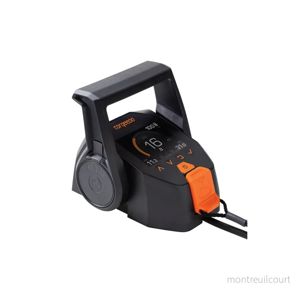 TorqLink throttle with colour display TorqLink throttle with colour display