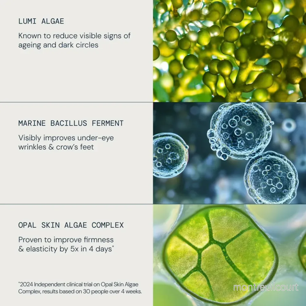 NYHET! Elemis Pro-Collagen Future Restore Eye Serum - Bild 3