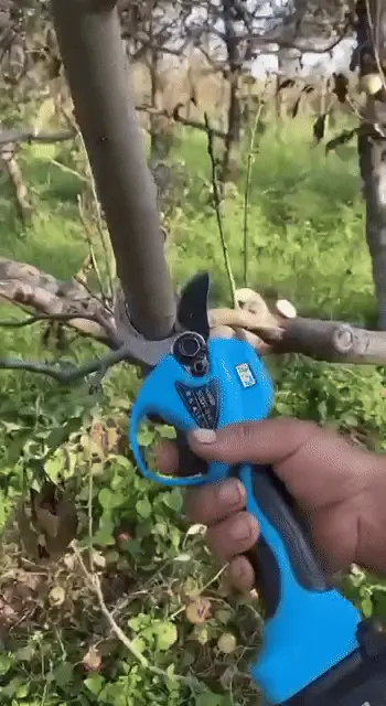 Elektrisk Sekatör med Lithiumbatteri 20v - Bild 2