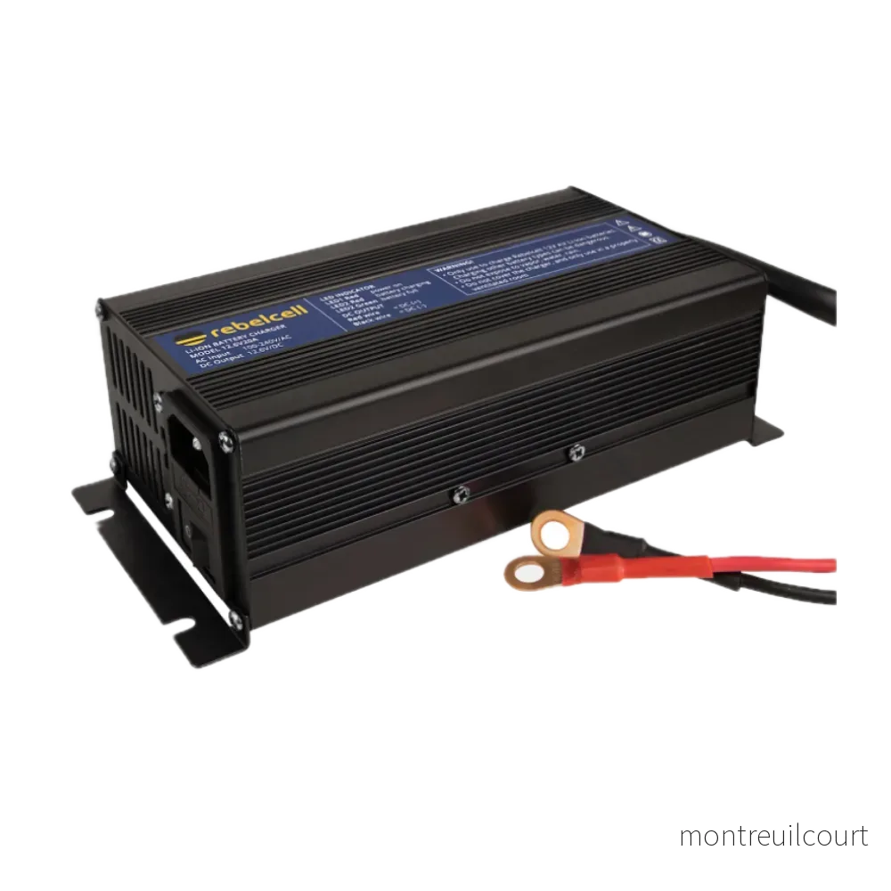 Rebelcell 12V100 AV li-ion Battery med Rebelcell 20A laddare - Bild 3
