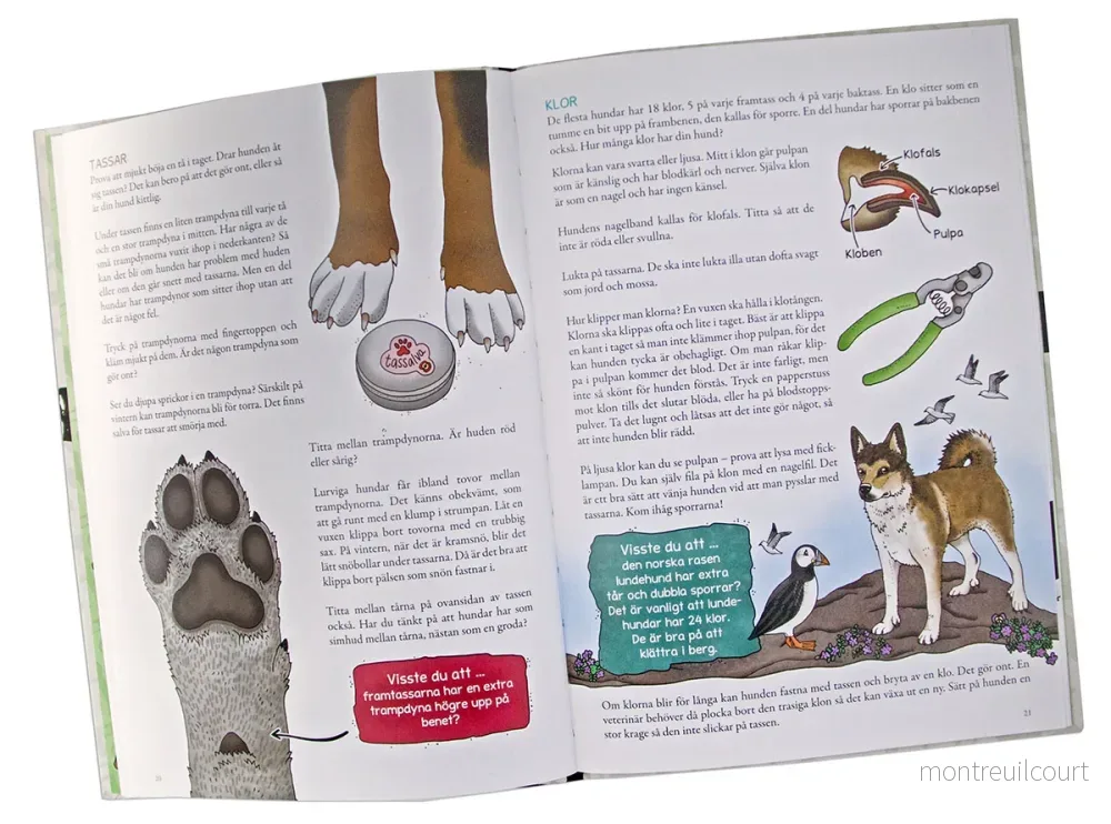 Eplaros Lilla veterinärskolan - Din hund från nos till svans - Bild 2
