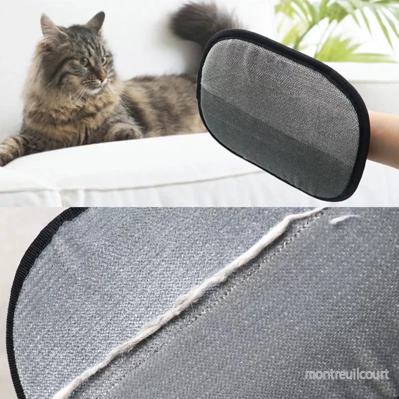 Pälsborttagare för hund & katt – grooming och massage i ett Pälsborttagare för hund & katt – grooming och massage i ett
