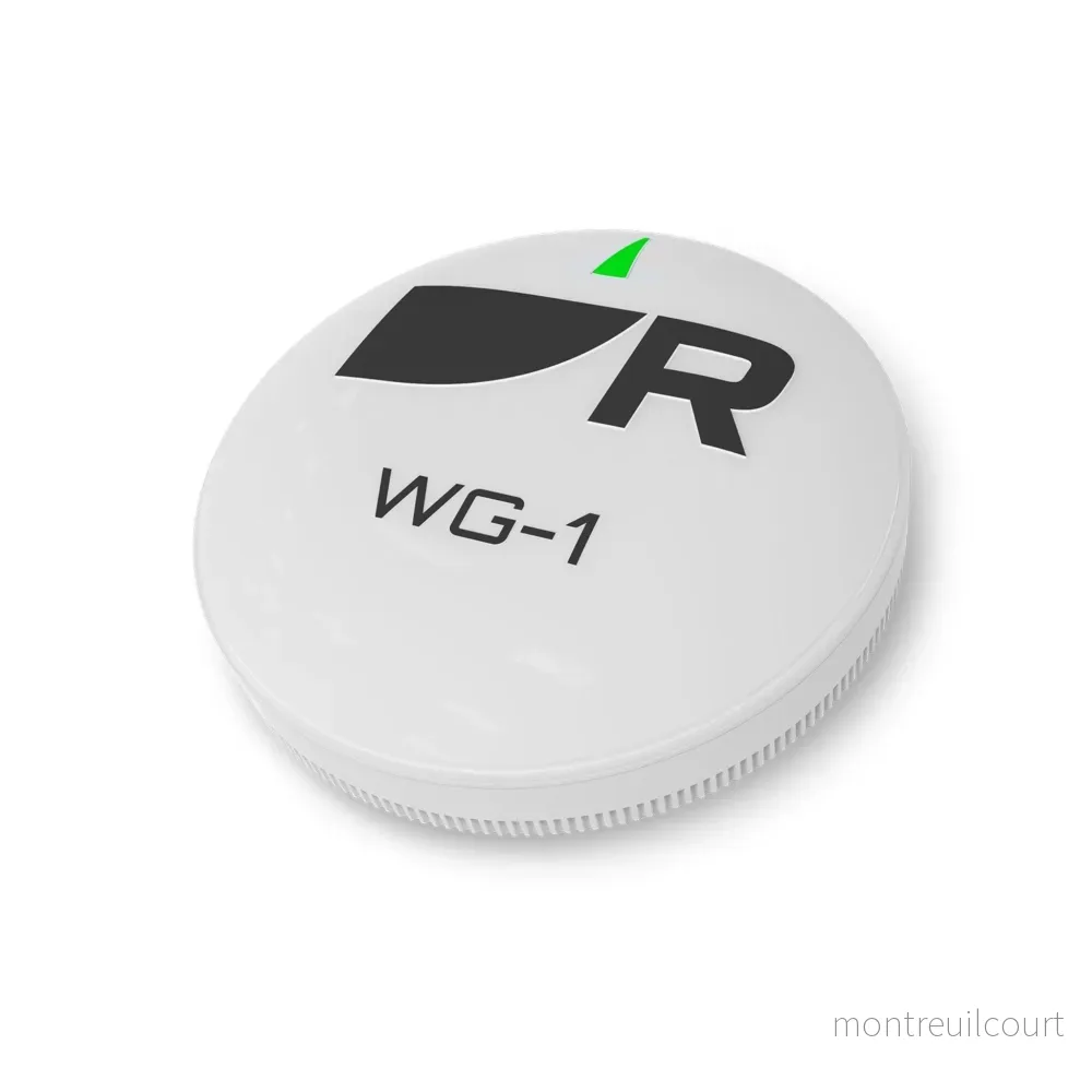 Raymarine RCU-1 Fjärrkontroll - Bild 3