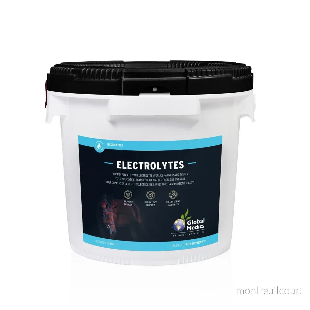 Global Medics - Electrolytes - Elektrolyter - Bild 3
