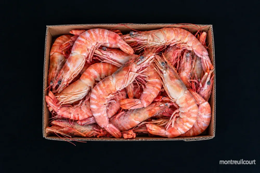 Vildfångade kokta gambas