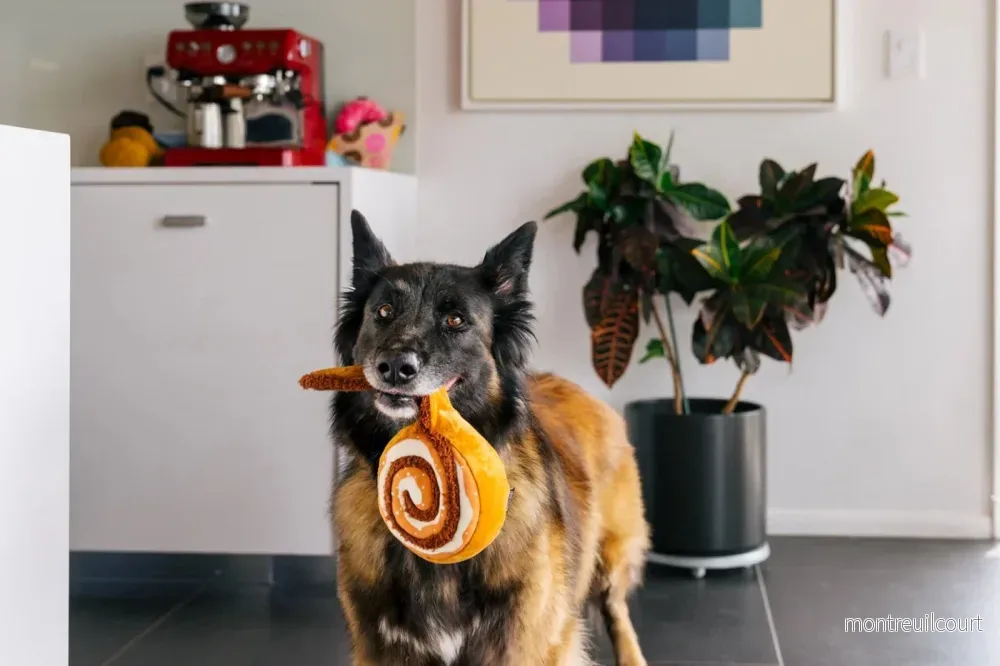 SPELA pipande kanelbensleksak - Bild 3