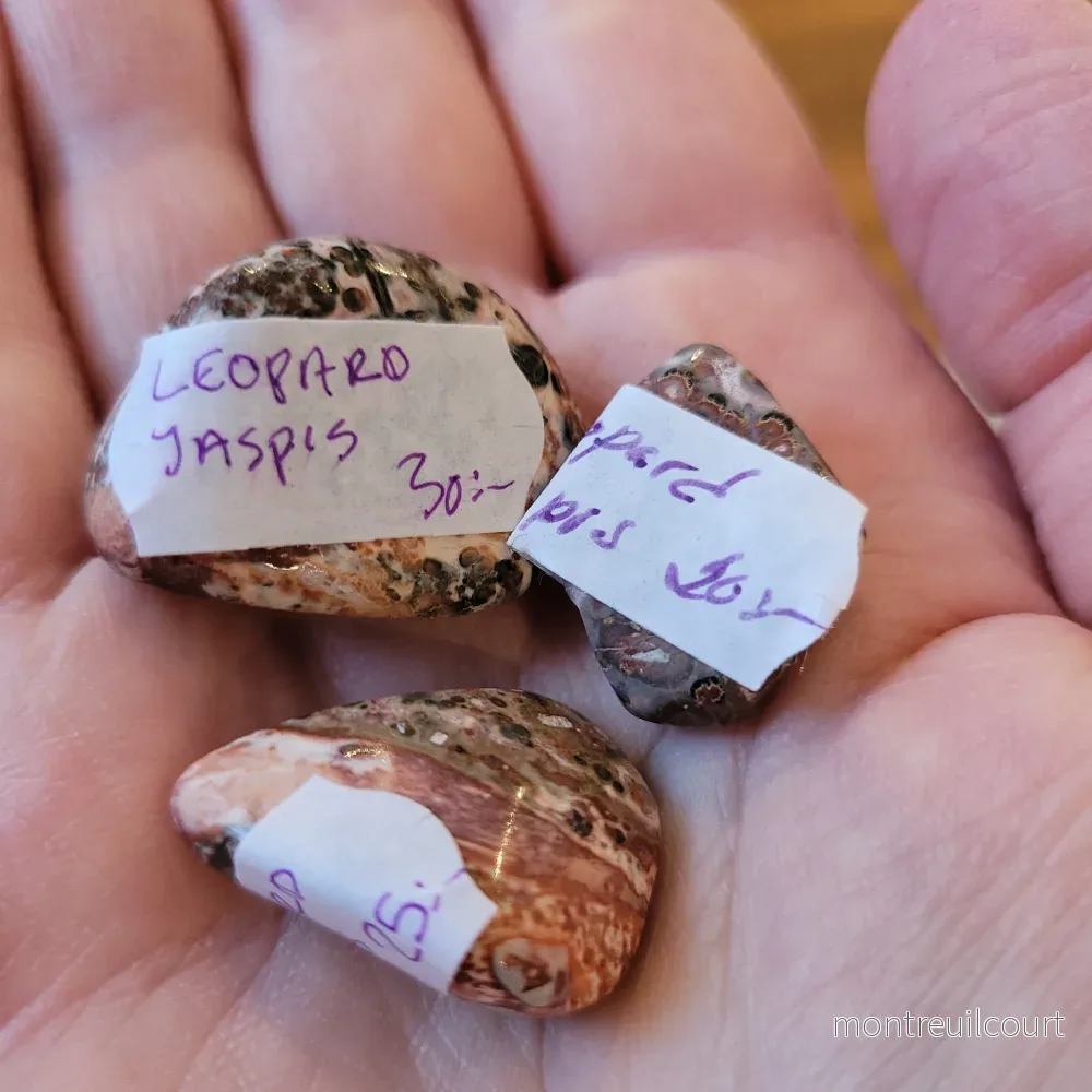 Leopardskinnsjaspis - Bild 2