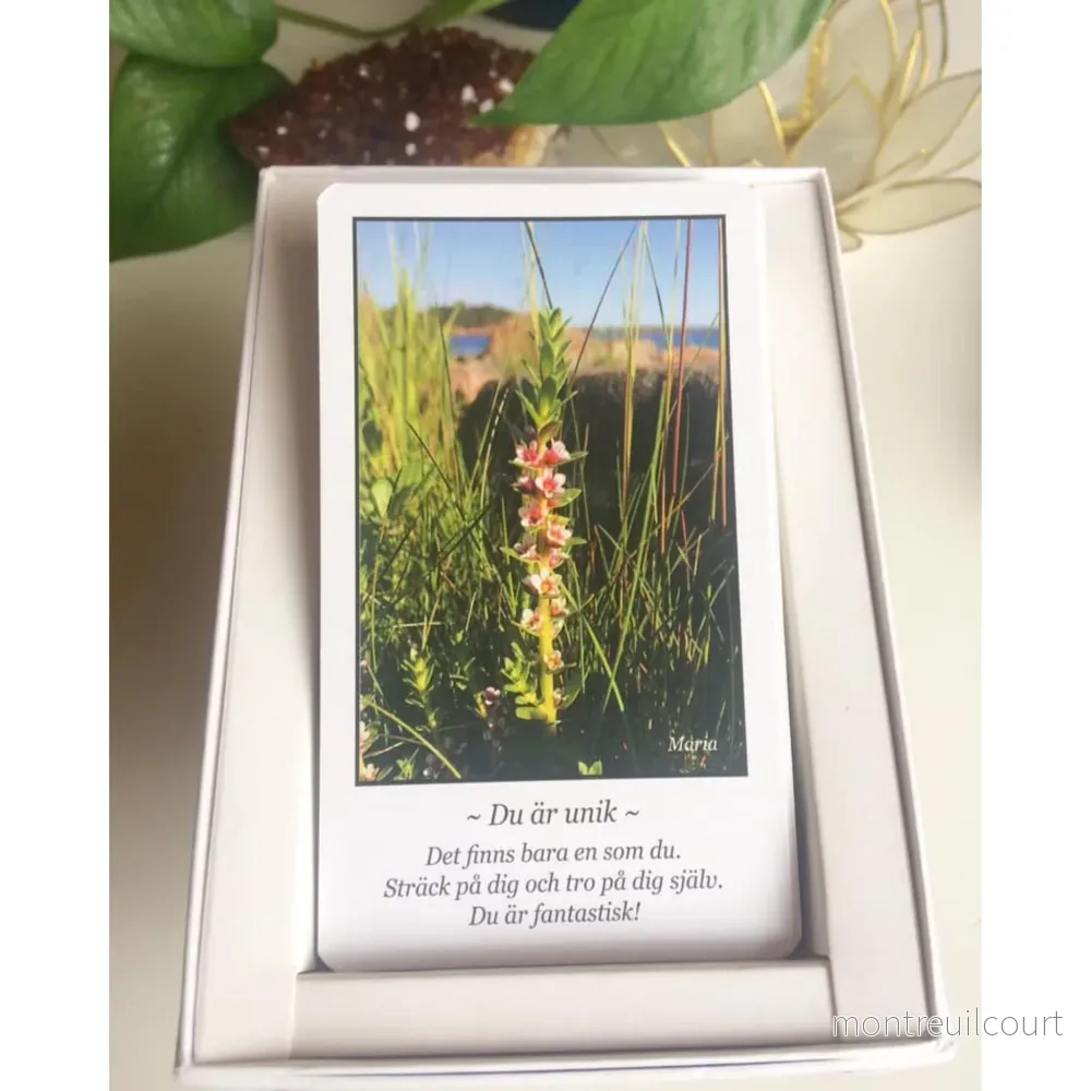 Naturens språk - inspirationskort - Bild 3