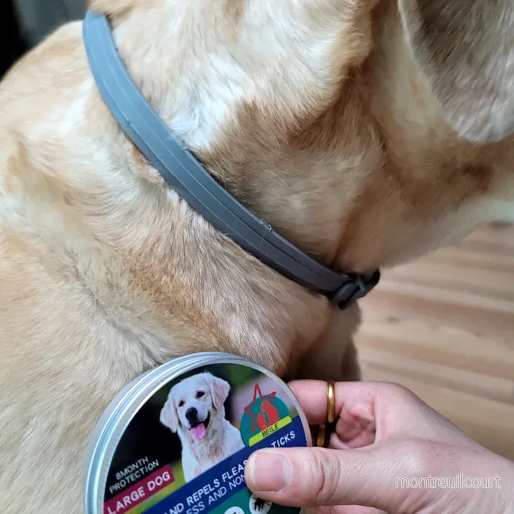 FästingFree – hund &katt halsband - Bild 2