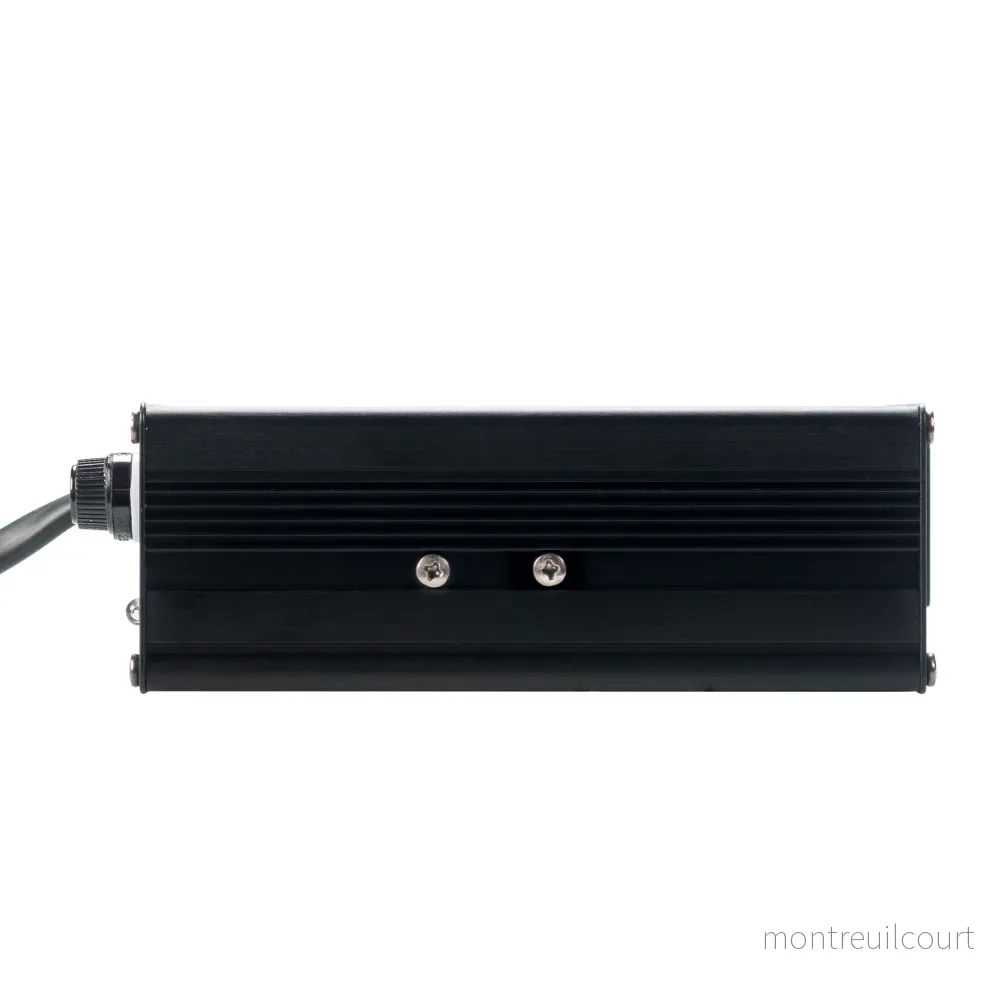 Rebelcell 12.6V6A MCU Charger - Bild 2