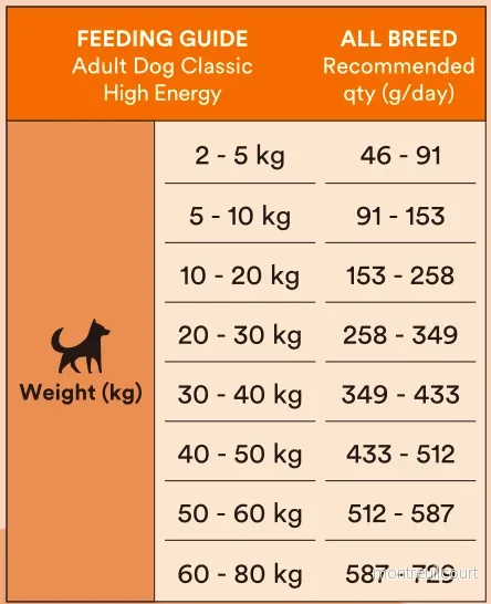 Monster Dog Classic High Energy - Bild 3