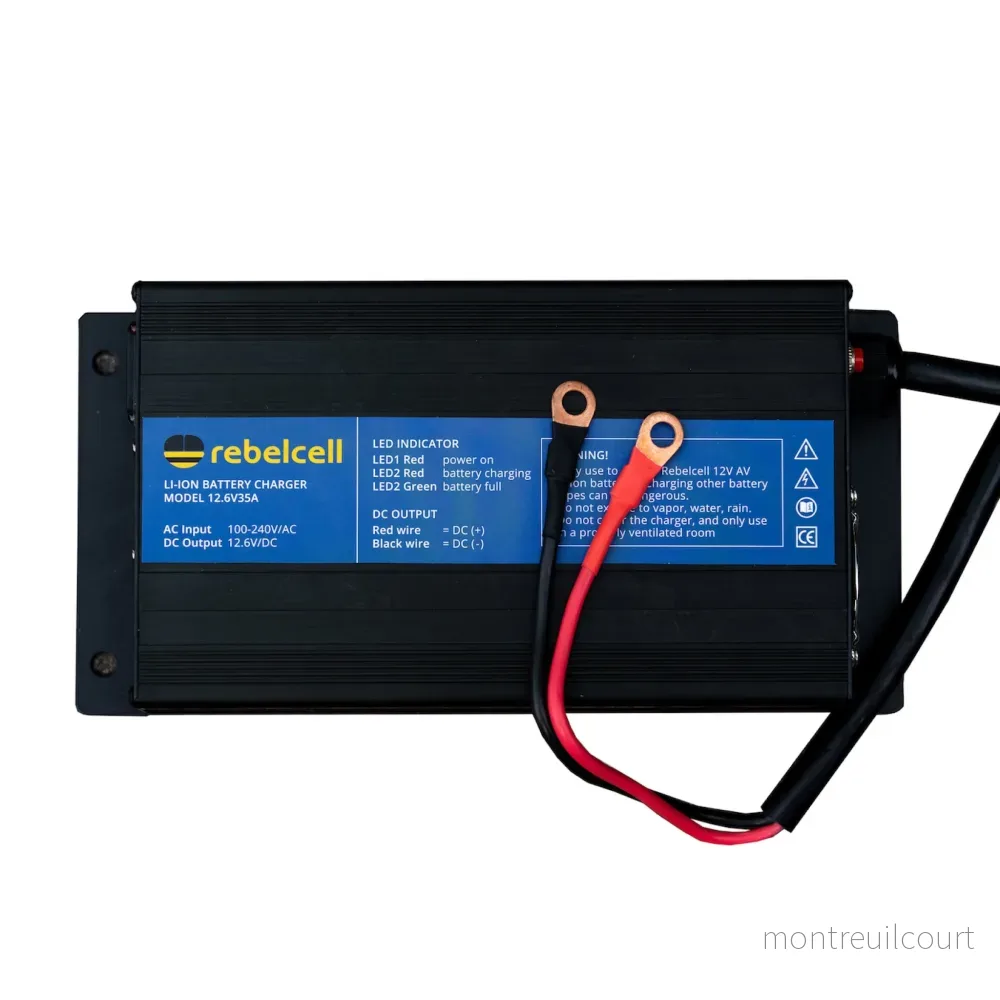 Rebelcell 12V100 AV li-ion Battery med Rebelcell 35A laddare - Bild 3