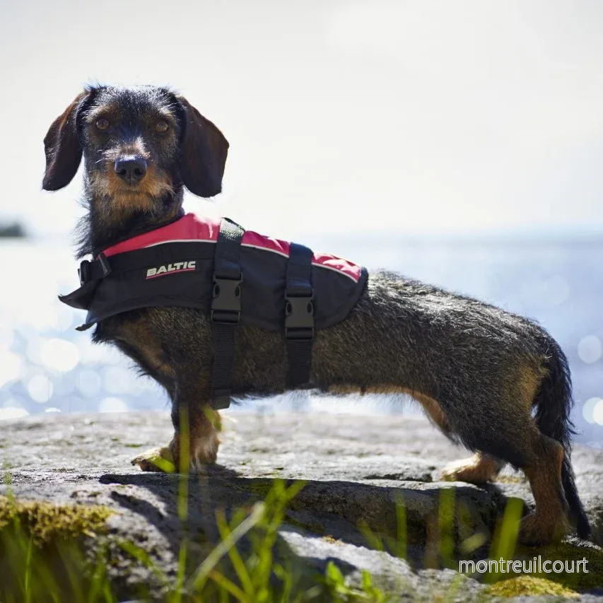 Baltic Mascot Hundflytväst Svart/Rosa - Bild 2