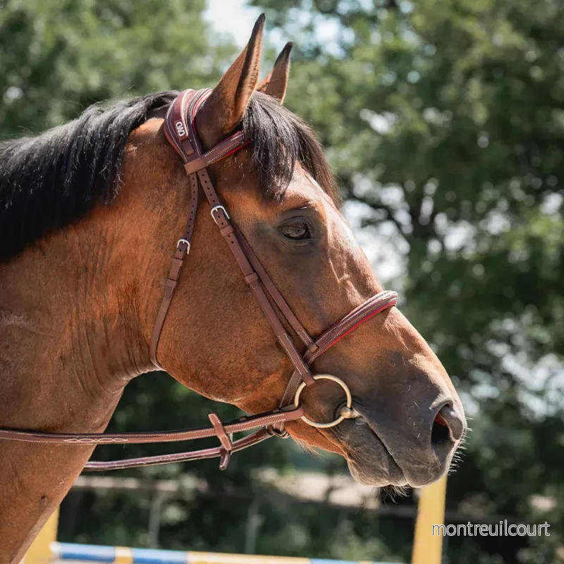 CWD Nosgrimma Aachen Sport Color - Bild 2