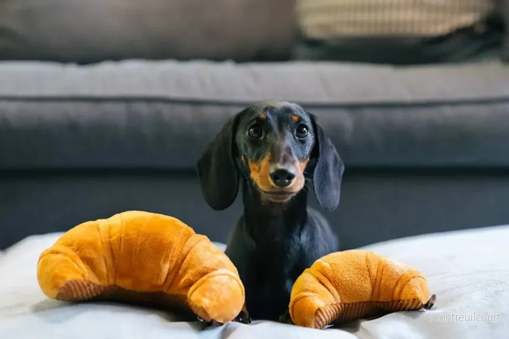 SPELA Croissant pipande leksak - Bild 3