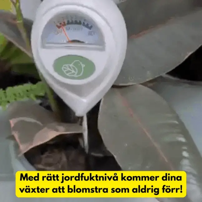 Fuktmätare - Bild 2