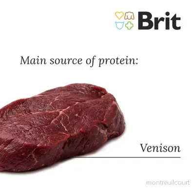 Brit Care Dog Grain-free Sensitive Vildt & Kartoffel - Bild 3