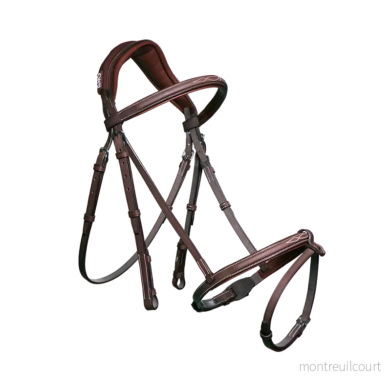 CWD Träns Anatomiskt