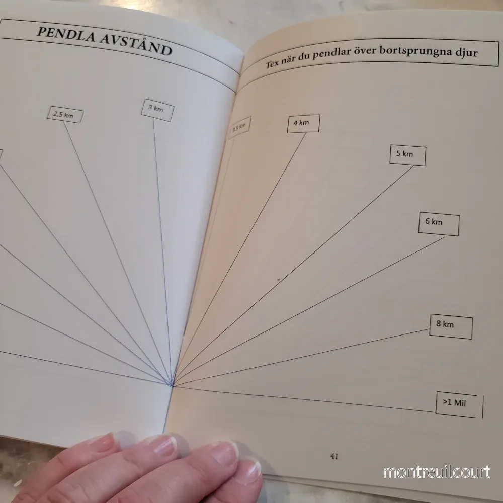 Pendelns ABC - bok av Pehr Trollsveden - Bild 2