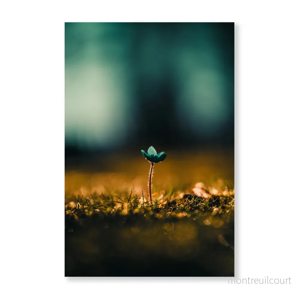 Poster Vårblomma Poster Vårblomma