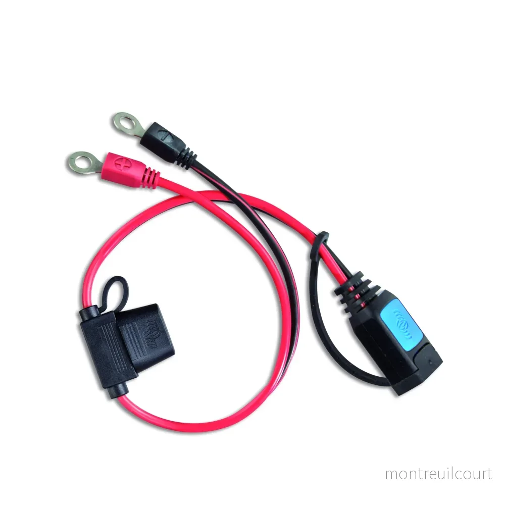 Victron Energy Blue Smart IP65 Öglekontakt M6 till IP65 Laddare Victron Energy Blue Smart IP65 Öglekontakt M6 till IP65 Laddare