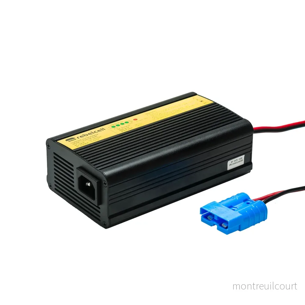 Rebelcell Charger 12.6V20A li-ion ODB Rebelcell Charger 12.6V20A li-ion ODB