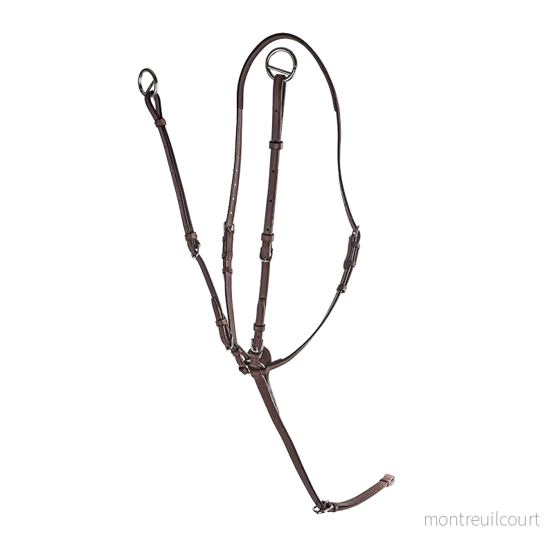 CWD Martingal CWD Martingal