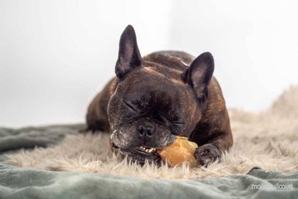 Kivo Kalvklöv till Hund - 10 st 750g - Bild 3