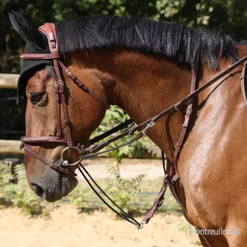 CWD Thiedemantygel - Bild 2