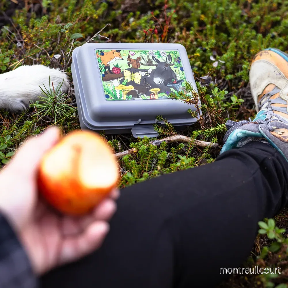 Eplaros fikalåda Skogen - Bild 2