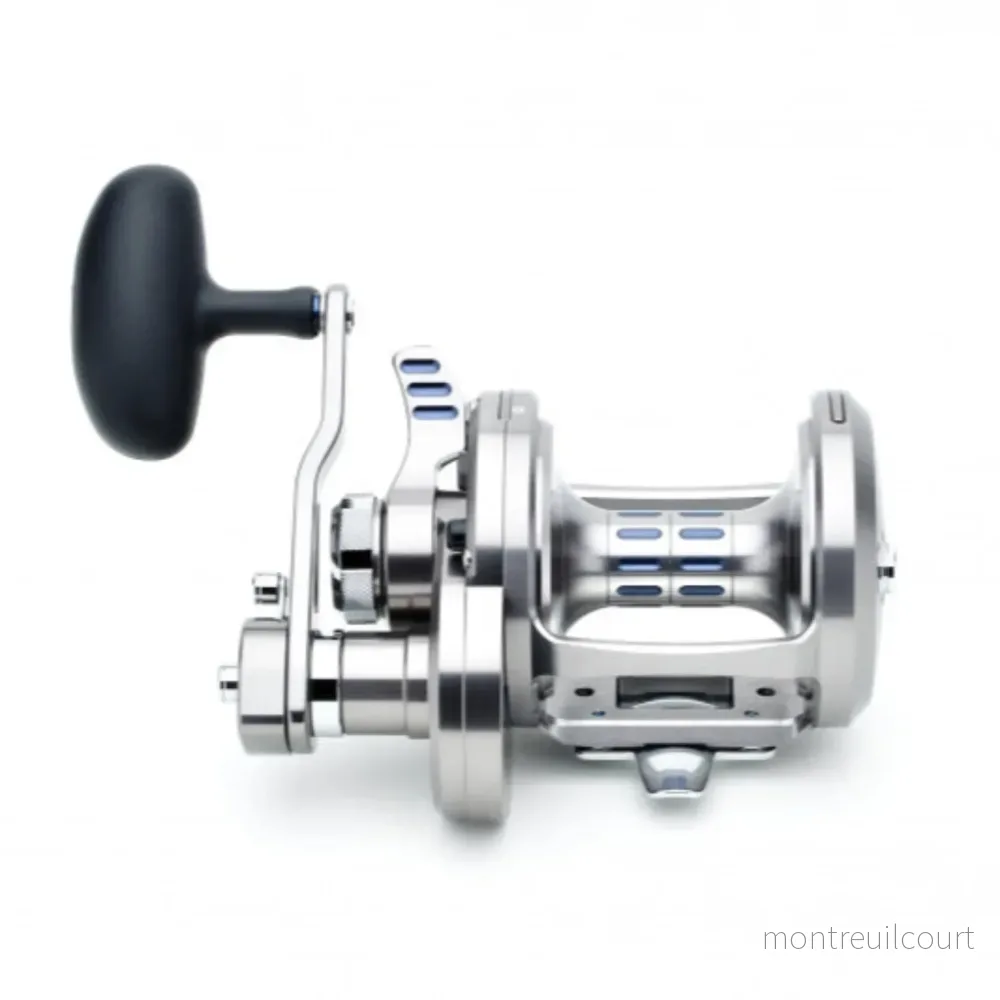 Daiwa 20 Saltiga LD 20 2 Speed