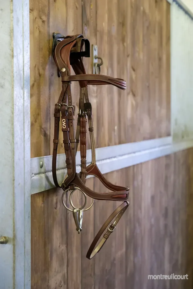 CWD Träns FlexMotion
